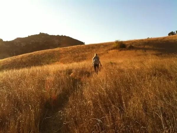 Person walking through a golden field at sunset